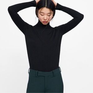 Zara Knit Turtleneck Sweater